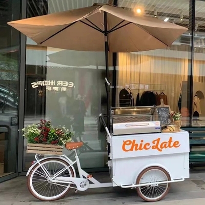 Ice Cream Roll Food Push Cart Bike with Freezer 70kg 220*87*240cmcm
