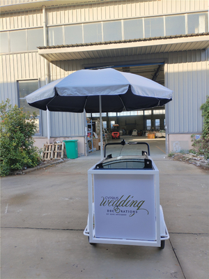 Snack Food Ice Cream Push Cart Tricycle Customized Cooking Equipment with Wheels