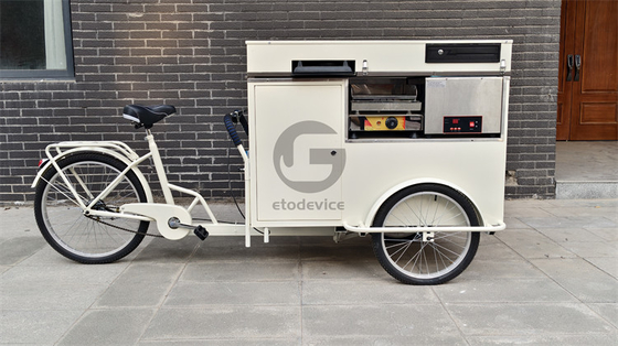 Street Food Delivery Bike with Display Freezer and Customized Snack Truck