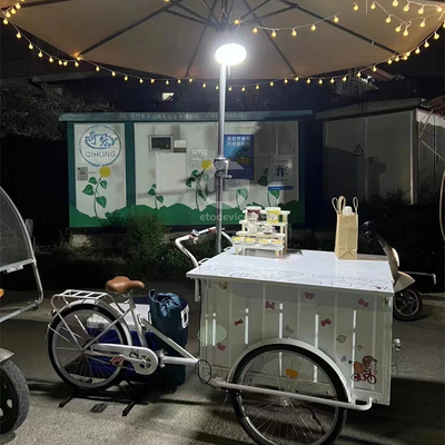 200kg Capacity Customized Color Fast Food Cart Bike Electric Food Ice Cream Truck