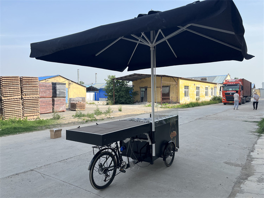 Electric Solar Panel Food Tricycle for Easy and Convenient Operation 277*210*70cm