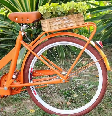 Australia Scooter Food Cart Tricycle with Soybean Material and Compact Size