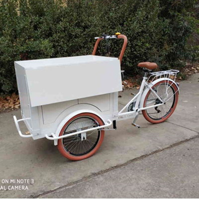 Water Raw Material One-Stop Coffee Delivery Tricycle 220V/110V Voltage Mobile Food Bike