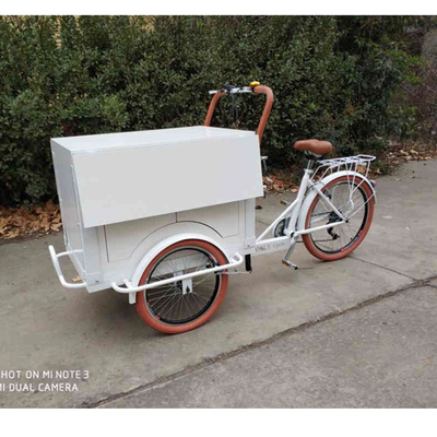 Water Raw Material One-Stop Coffee Delivery Tricycle 220V/110V Voltage Mobile Food Bike