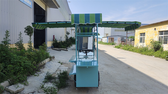 Customized Voltage Tricycles Bike Container Food Truck with 0-10000 Voltage