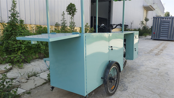 Customized Voltage Tricycles Bike Container Food Truck with 0-10000 Voltage