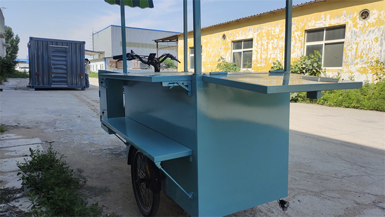 Customized Voltage Tricycles Bike Container Food Truck with 0-10000 Voltage