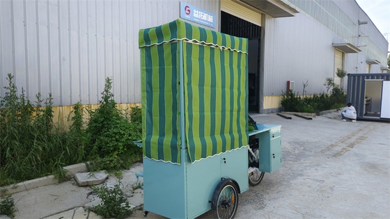 Full Kitchen Electric Food Ice Cream Truck Tricycle for Cargo Your Perfect Choice