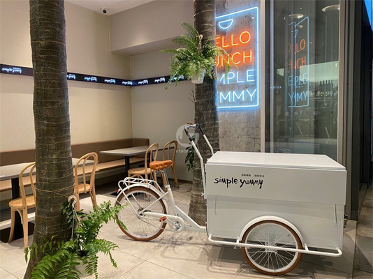250*124*135cm Cannery Application Coffee Food Tricycle Cart with Cargo and Capacity