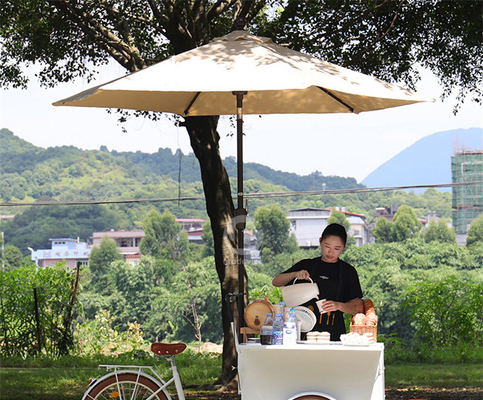 250*124*135cm Cannery Application Coffee Food Tricycle Cart with Cargo and Capacity