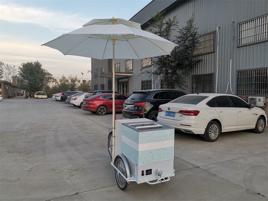214*83*240cm Commercial Coffee Bike for Hot Drinks and Tea Stainless Steel Tricycle