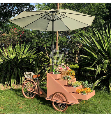 Compact Design Bike Food Cart for Mobile Outdoor Coffee Desserts Gelato and Ice Cream