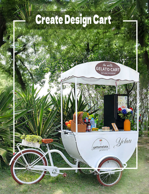Outdoor 3 Wheels Coffee Kiosk Food Cart Ice Cream Cargo Juice Coffee Cart Bike Kiosk