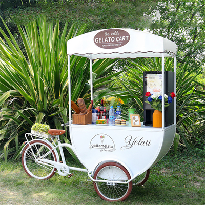 Outdoor 3 Wheels Coffee Kiosk Food Cart Ice Cream Cargo Juice Coffee Cart Bike Kiosk