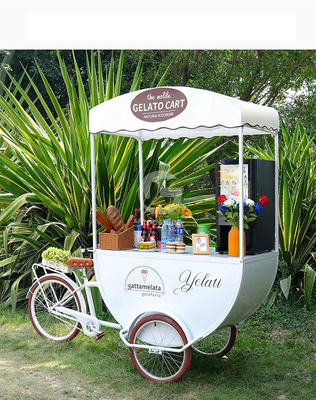 Outdoor 3 Wheels Coffee Kiosk Food Cart Ice Cream Cargo Juice Coffee Cart Bike Kiosk