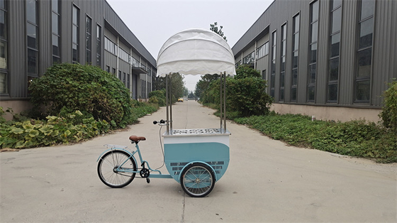 Voltage 48V Bike Outdoor Food Cart Tricycle Mall Kiosk Mobile Electric Ice Cream Cart