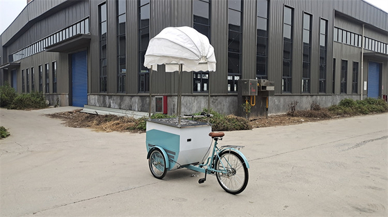 100kg Mobile Food Trucks Professional Production and Easy To Operate for Efficiency
