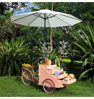 Leisure Fast Food Equipment Food Bike Vending Truck with Customization Acceptable 80kg