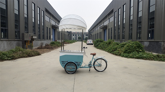 Electric Tricycle 3 Wheel Mobile Cart for Ice Cream Coffee Pedal Freezer Bike Delivery