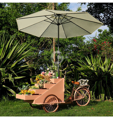 Outdoor Food Vending Cart with Soybean Raw Material and Three Wheels Electric Cargo Bike