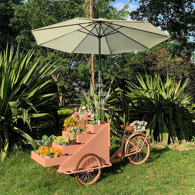 Outdoor Food Vending Cart with Soybean Raw Material and Three Wheels Electric Cargo Bike
