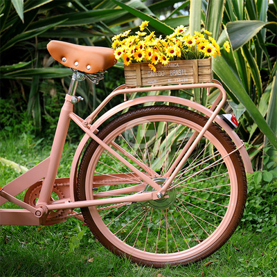 Outdoor Food Vending Cart with Soybean Raw Material and Three Wheels Electric Cargo Bike