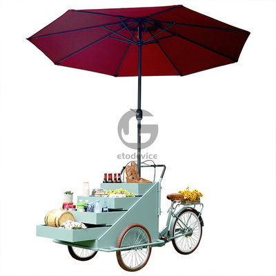 Mobile Coffee Vending Cart Three Wheel Pizza Delivery Bike for Outdoor Street Vending
