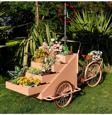 Mobile Coffee Vending Cart Three Wheel Pizza Delivery Bike for Outdoor Street Vending