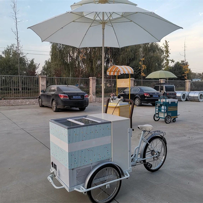 100kg Classic Ice Cream Bike Fast Food Trailer Truck Tricycle for Seasoning Plant