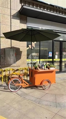 Uncover LA County's Food Gems with Our Hand Pushed Culinary Tricycle Cart 150*70*230cm