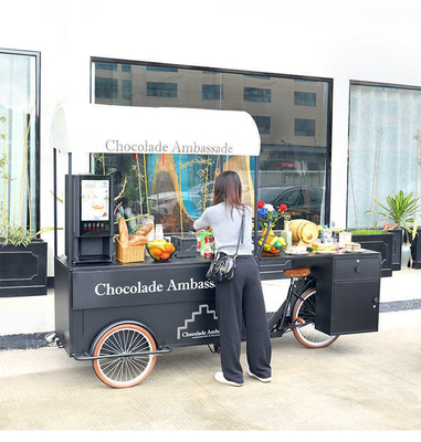 Field Maintenance Full Kitchen Outdoor Mobile Tricycle Food Truck for 1-2 People