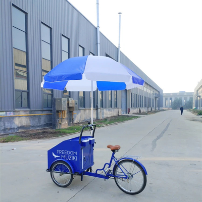 Customizable Vegetables Electric Food Bike for Street Food Vending and Cigarette Cart