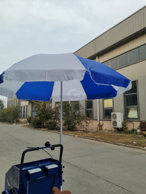 3 Wheel Street Mobile Fast Food Vending Bike Cart with Customized Cooking Equipment
