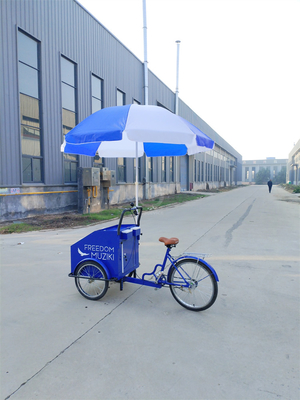 70kg Load Capacity Electric Pedal Three-Wheeled Bicycle Cart with Customized Service