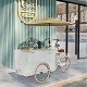 Rolling Delicacies A Global Culinary Experience on Hand Push Tricycle Food Carts