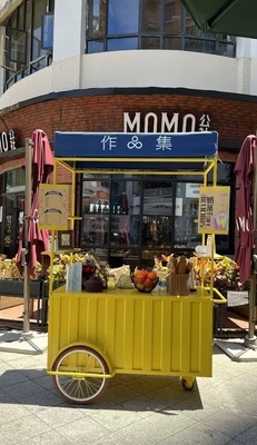Market Mobile Ice Cream Street Cart with Water System Customization and Voltage