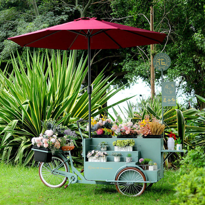 Stainless Steel Insulation Tempered Glass Outdoor Street Vending 3 Wheel Coffee Bike