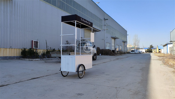 110v/220v Voltage Outdoor Fast Food Kiosk Ice Cream Bike for Outdoor Snack Sales