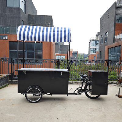 110*70cm Wheel Cargo Bike for 1-2 People Street Food Delivery Crepe Trailer Tricycle Cart