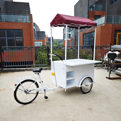 Seasoning Plant Mobile Fast Food Tricycle with Freezer and Cold Drink Bike Trailer