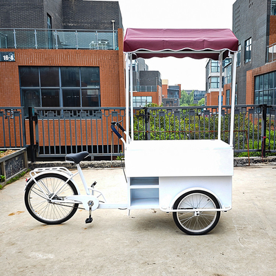 Outdoor Mobile Fast Food Tricycle with Cold Drink Freezer and Video Technical Support