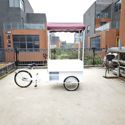 Outdoor Mobile Fast Food Tricycle with Cold Drink Freezer and Video Technical Support
