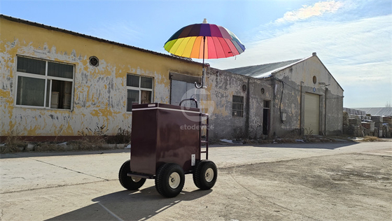 Fast Food Customized Counter Ice Cream Push Cart with Logo Enhance Your Business Image