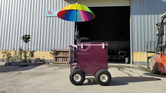 220v/110v Mobile Cart for Ice Cream Concession Refrigerator Freezer in Seasoning Plant