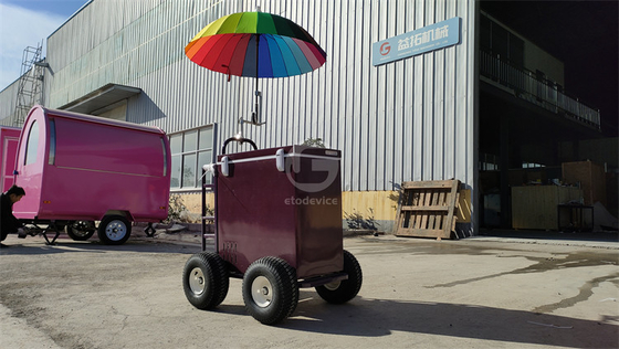 220v/110v Mobile Cart for Ice Cream Concession Refrigerator Freezer in Seasoning Plant