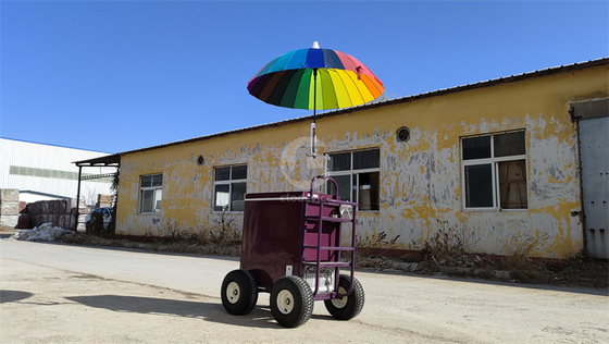 220v/110v Mobile Cart for Ice Cream Concession Refrigerator Freezer in Seasoning Plant