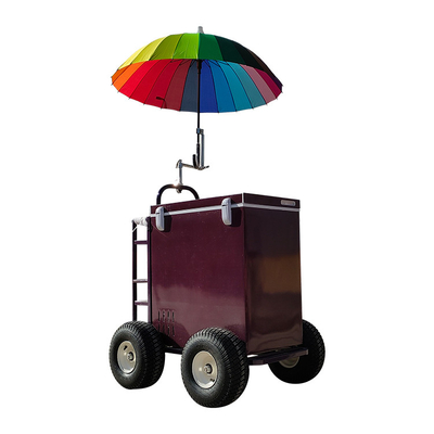 Small Display Showcase Trolley with Cooler Function Customized Trailer Cart in Any Color