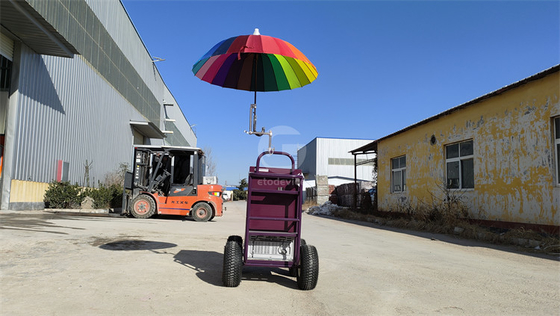 Small Display Showcase Trolley with Cooler Function Customized Trailer Cart in Any Color