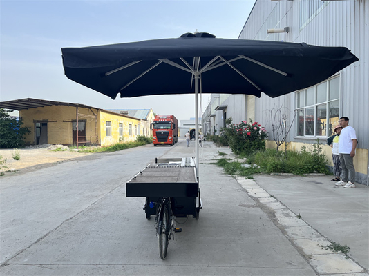 Foldable Box Cart for Easy Storage and Transport 2700*800*2200mm Space-Saving Design