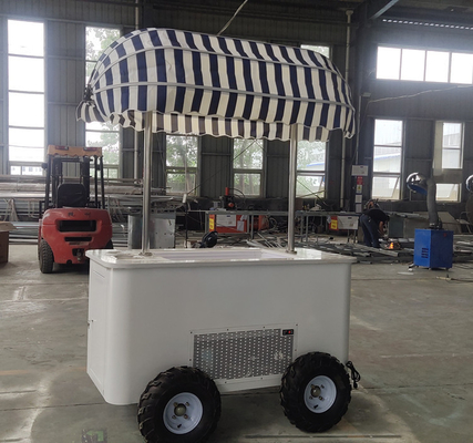 Food Bike Cart Ice Cream: The Perfect Choice for a Fun, Interactive Dessert Experience